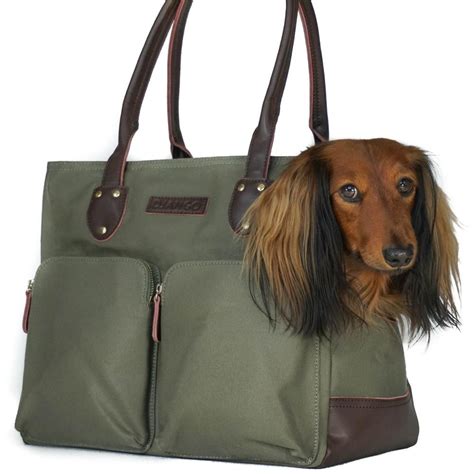 designer totes to carry dog